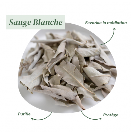 encens sauge blanche