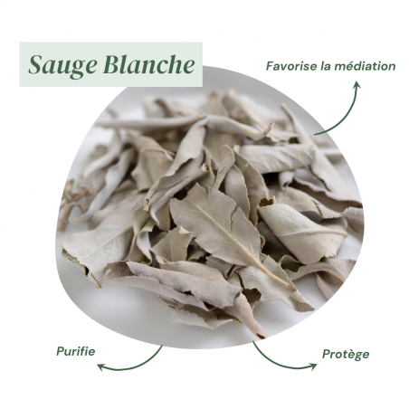 encens sauge blanche